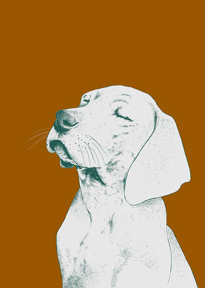 ilustração com fundo castanho de cão com pose serena e tranquila