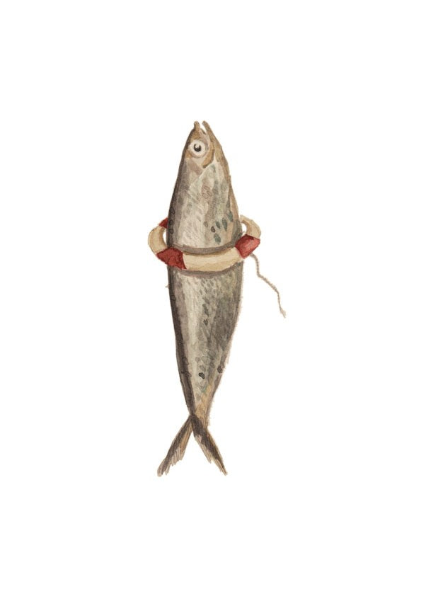 ilustração de uma sardinha que foi resgatada do mar